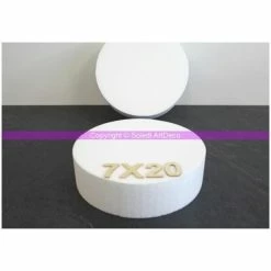 Offres 💯 Lealoo® Disque Polystyrène Disque épaisseur 7 Cm, Diamètre 20 Cm, Polystyrène Pro Haute Densité, 28 ✔️