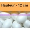 Acheter ⌛ Lealoo® Oeuf Polystyrène Lot De 10 Oeufs Polystyrène Plein De 12 Cm De Haut, Densité Supérieure 🤩