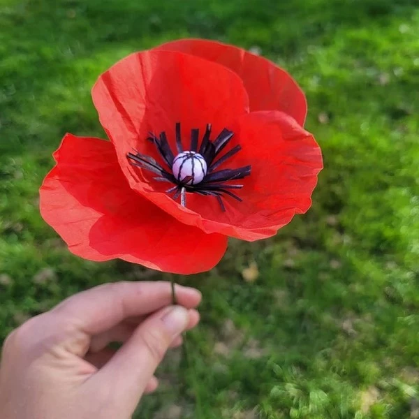 Coupon 💯 Lealoo® Boules Polystyrène Lot De 50 Boules De 1 Cm En Ouate De Cellulose, Billes Blanches En Coton Compressé De 10 Mm Avec Tro 🔔 – Image 3