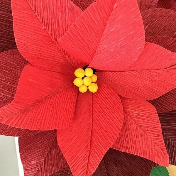 Coupon 💯 Lealoo® Boules Polystyrène Lot De 50 Boules De 1 Cm En Ouate De Cellulose, Billes Blanches En Coton Compressé De 10 Mm Avec Tro 🔔 – Image 4