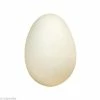 Remise 🧨 Graine Créative Oeuf Polystyrène Oeuf Styropor 6 Cm 🤩